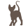 Pets Icon
