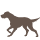 Cat Icon